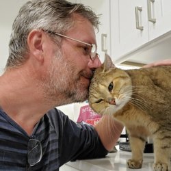 Catify My Home - My buddy. #catsitting