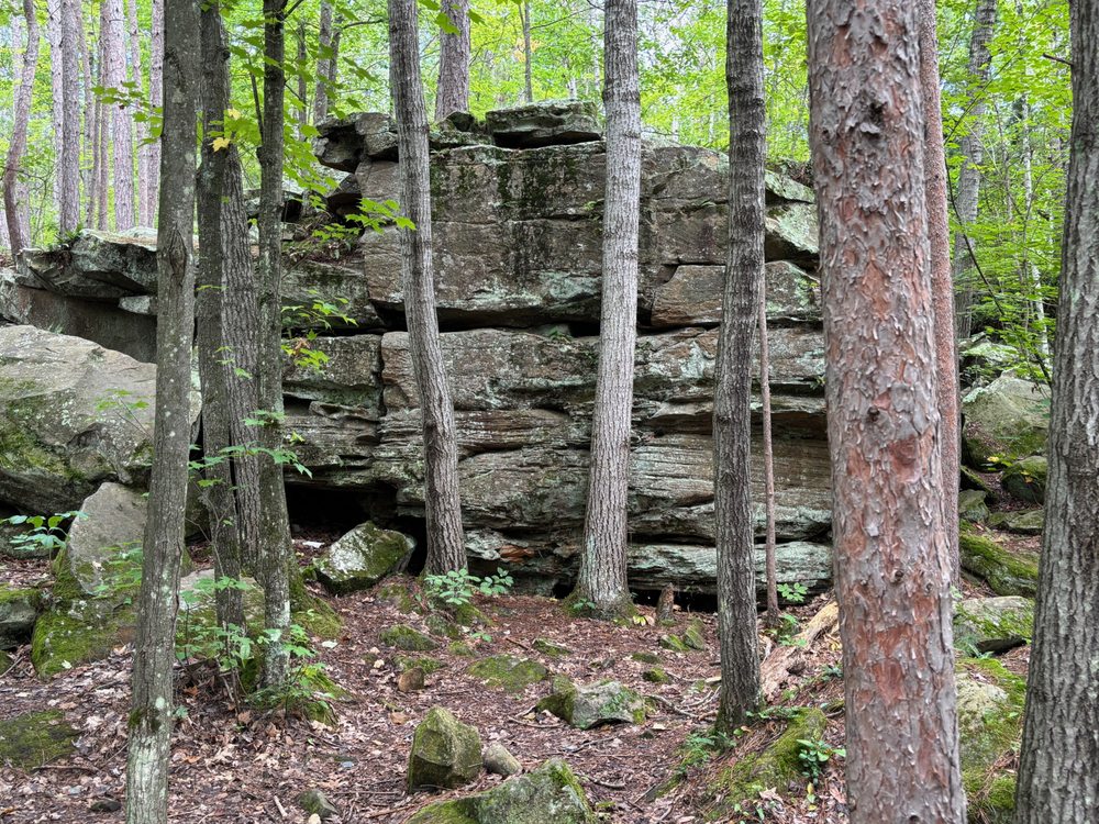 Banning State Park Logo