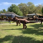 Photo of Dinosaur World - Plant City, FL, United States. Stampede