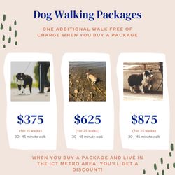 Dog Obedience Guidance and Support