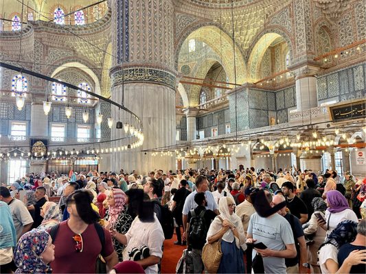 The Blue Mosque by null The Blue Mosque by null