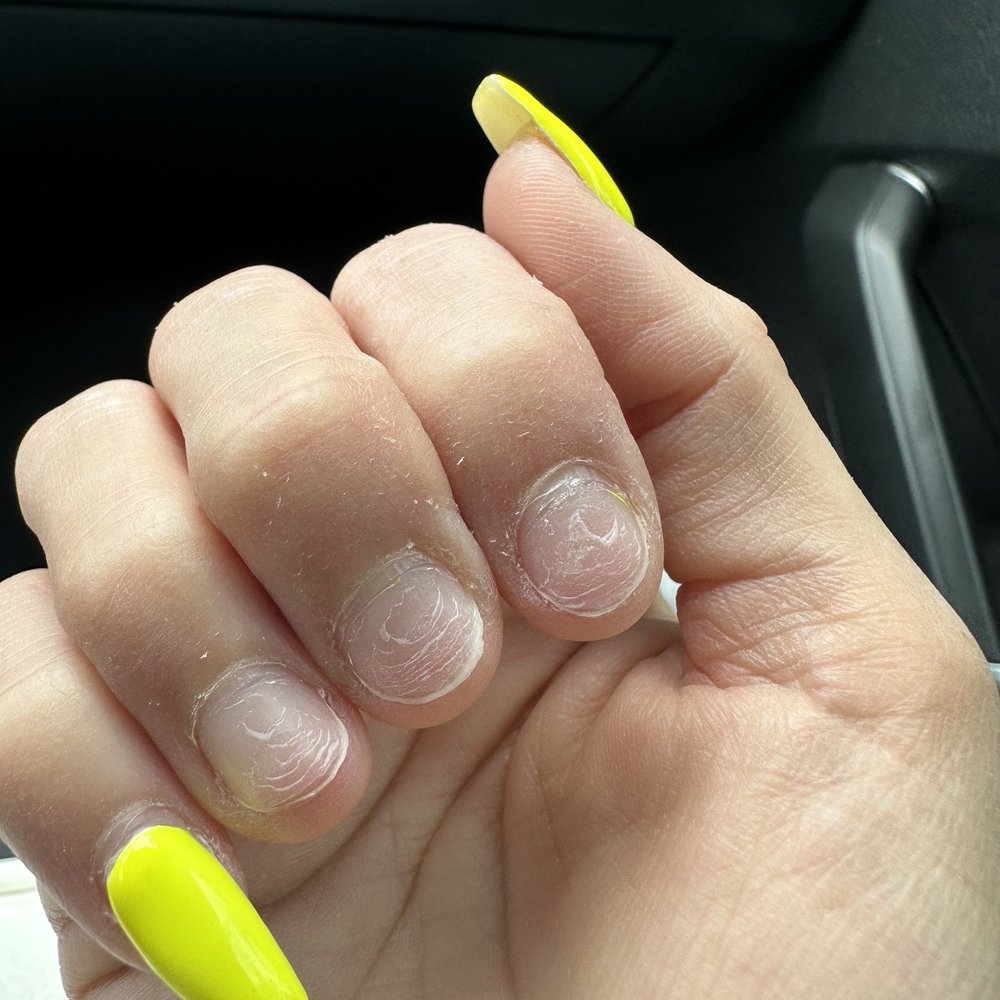 Premium Nails & Spa - Nail Salons Near Me - Charlotte, North Carolina Premium Nails & Spa - Nail Salons Near Me - Charlotte, North Carolina