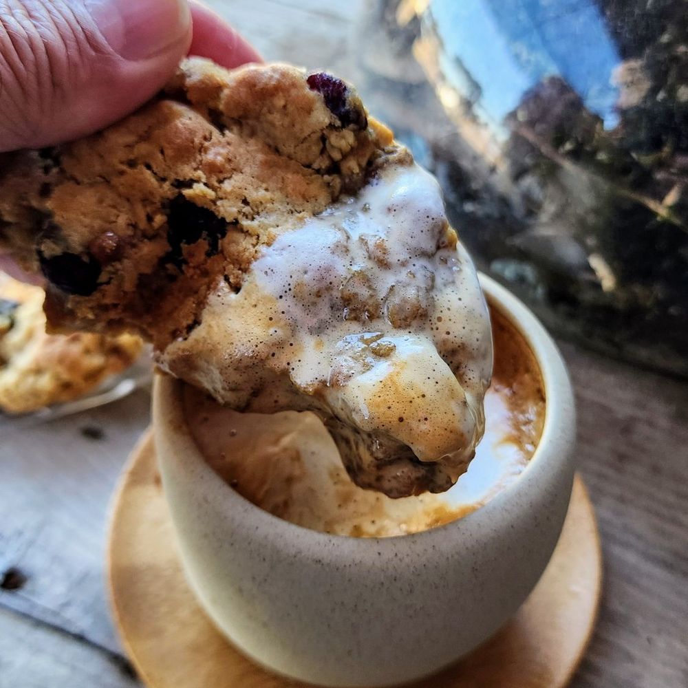 6 Grados Coffee - Cookie Dipping in Cortado - Coffee & Tea Near Me - San Diego, California 6 Grados Coffee - Cookie Dipping in Cortado - Coffee & Tea Near Me - San Diego, California