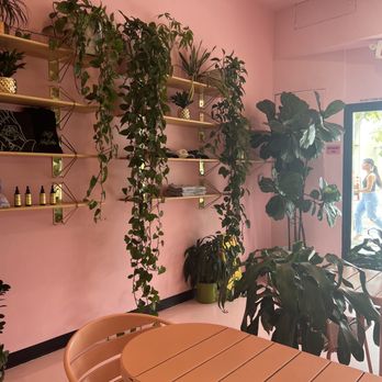 Holy Matcha - Inside - Tea Rooms Near Me - San Diego, California Holy Matcha - Inside - Tea Rooms Near Me - San Diego, California