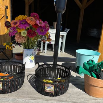 Sonoma Grey Barn Farm - Gloves & Pruners... - Pick Your Own Farms Near Me - Sonoma, California Sonoma Grey Barn Farm - Gloves & Pruners... - Pick Your Own Farms Near Me - Sonoma, California