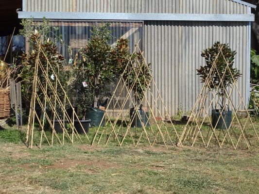 The Farm Byron Bay by null