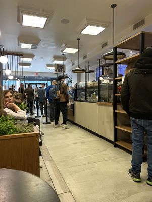 Modern Bread and Bagel by null