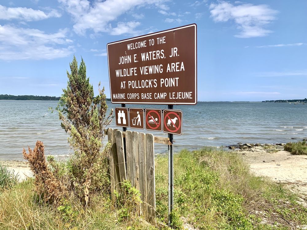 John E. Waters, Jr. Wildlife Viewing Area at Pollock's Point Image