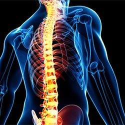 Polson Family Chiropractic