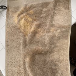 Coastal Escapes - This was hung up for me to use in the bathroom