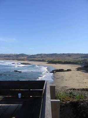 Costanoa by null