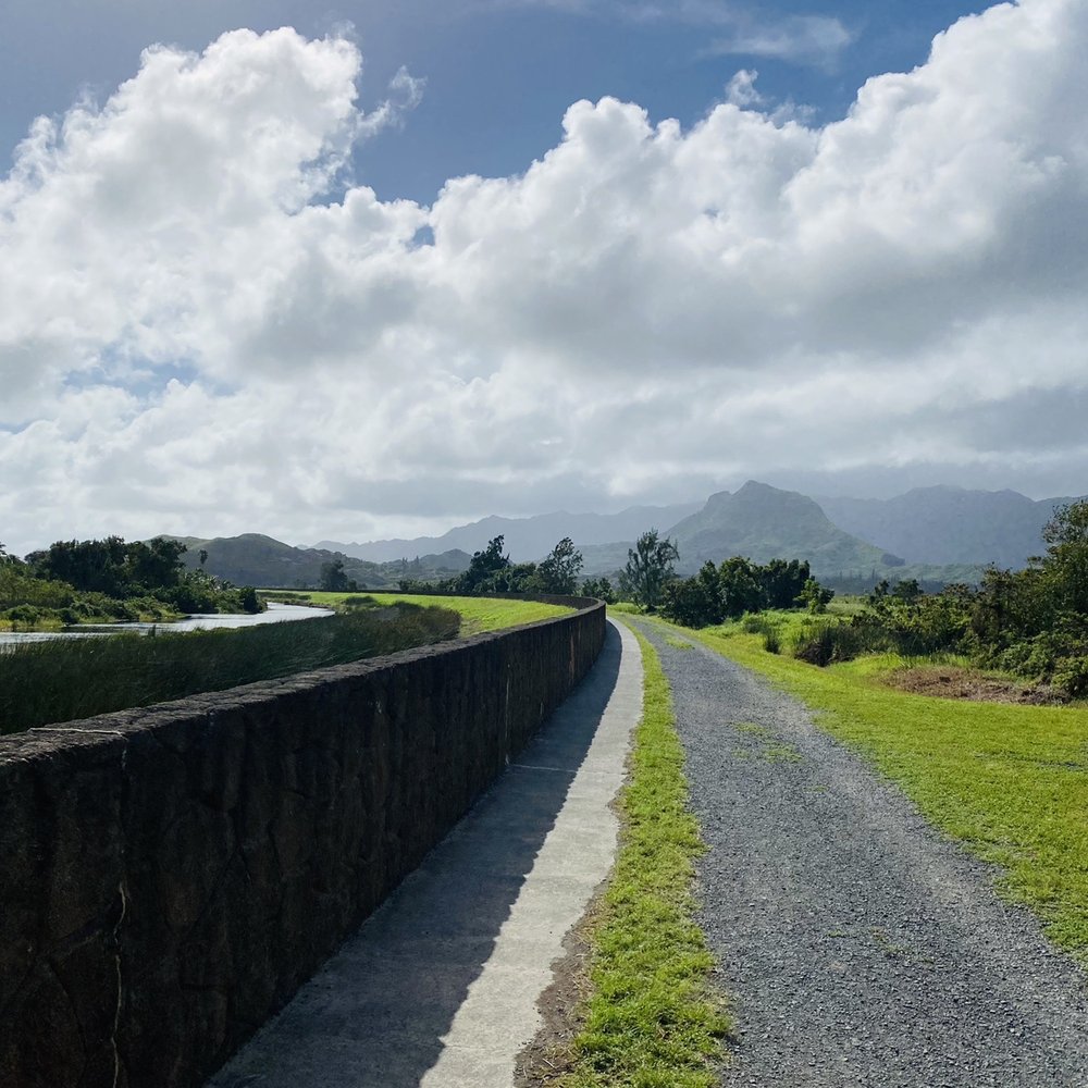 Kawainui Marsh Trail - Hiking Near Me - Kailua, Hawaii