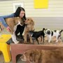 Photo of Sam & Danni's Pet Resort Spa