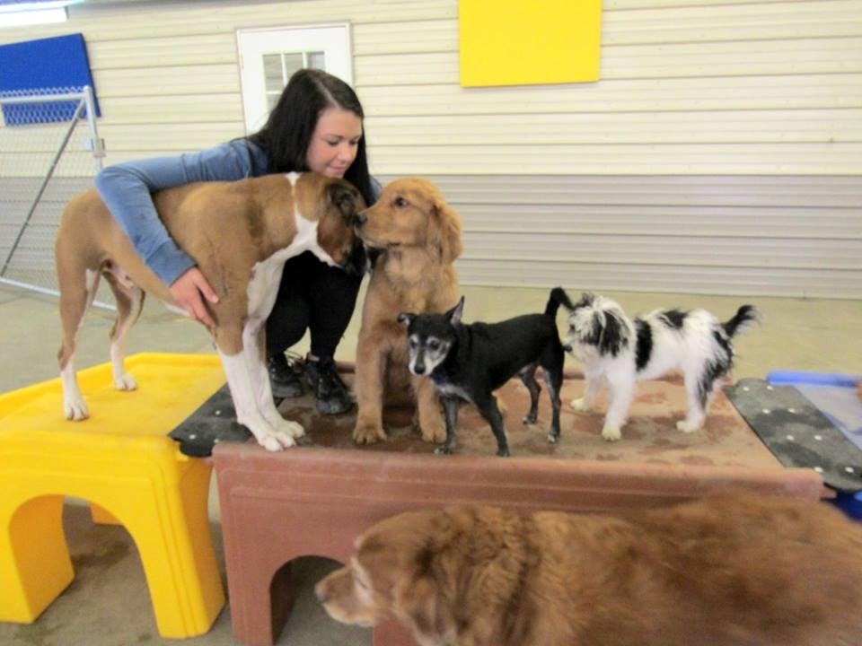 SAM & DANNI'S PET RESORTSPA INC