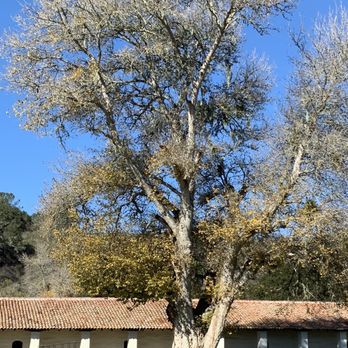La Purísima Mission State Historic Park - Parks Near Me - Lompoc, California La Purísima Mission State Historic Park - Parks Near Me - Lompoc, California