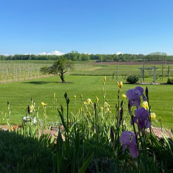 Young Sommer Winery - View from the patio - Wineries Near Me - Williamson, New York