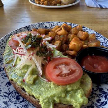 The Montauk - Avocado Toast - New American Near Me - Scottsdale, Arizona The Montauk - Avocado Toast - New American Near Me - Scottsdale, Arizona