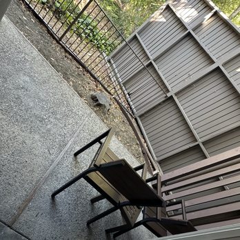 Creekside Inn - Patio - Hotels Near Me - Palo Alto, California