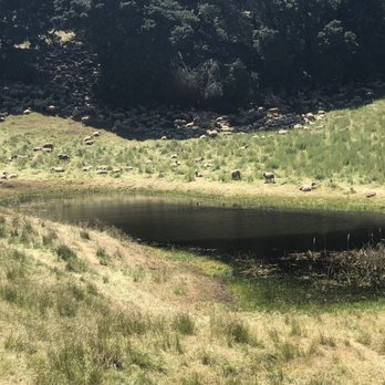 Pleasanton Ridge Regional Park - Parks Near Me - Pleasanton, California