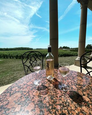 South River Vineyard by null