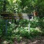 Photo of Portland Arch Nature Preserve