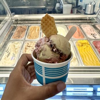 The Gelato Shop - spumoni - Gelato Near Me - San Jose, California