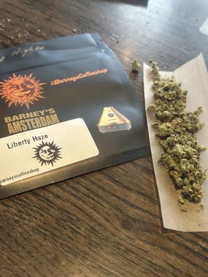 Barney's Coffeeshop Amsterdam THC Cannabis Dispensary by null