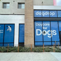 Exterior photo of Dogdrop - Los Angeles, California Exterior photo of Dogdrop - Los Angeles, California