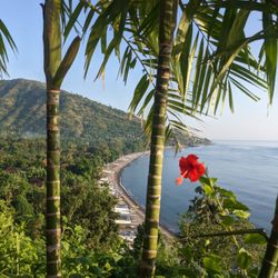 Photo from Wawa Wewe Rock Resort on the East Bali coast.