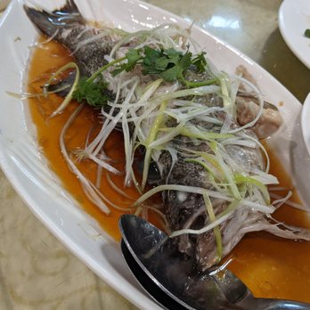 Dim Sum King - Steamed fish - Dim Sum Near Me - Daly City, California Dim Sum King - Steamed fish - Dim Sum Near Me - Daly City, California