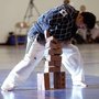 World Martial Arts Academy