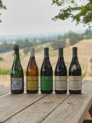 Evening Land Vineyards by null