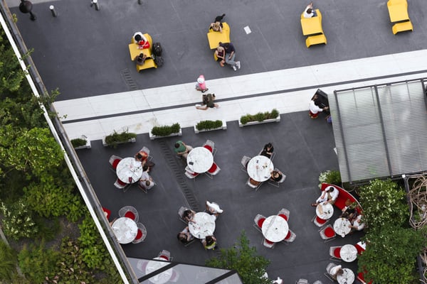 The Standard Plaza by null