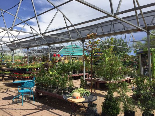 Civano Nursery - Retail Location by null