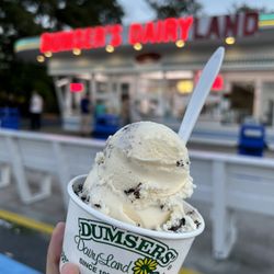 Dumser's Dairyland - Ice cream