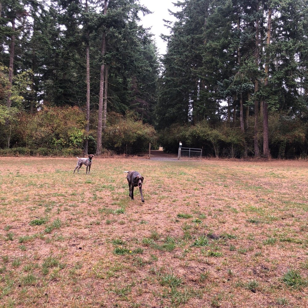 Patmore Pit - Dog Parks Near Me - Coupeville, Washington Patmore Pit - Dog Parks Near Me - Coupeville, Washington
