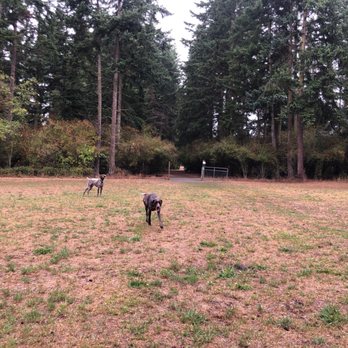 Patmore Pit - Dog Parks Near Me - Coupeville, Washington