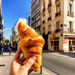 Artocarpus - Croissant