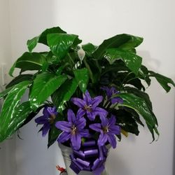 Roselady Productions Florist