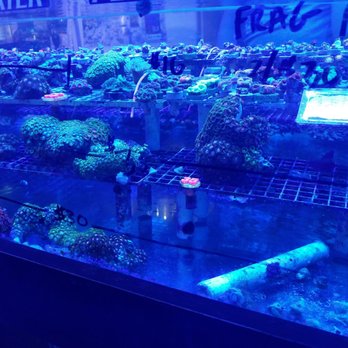 Ellis Aquatics - Local Fish Stores Near Me - Compton, California