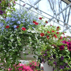 Countryside Floral And Greenhouses