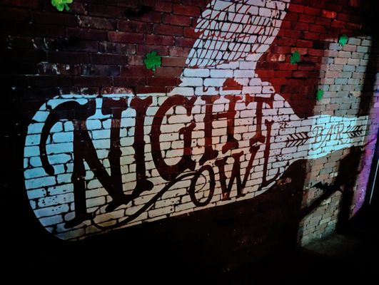 Night Owl by null