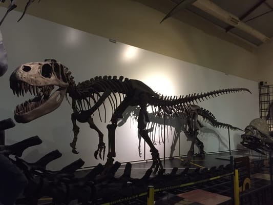 Museo Nacional de Ciencias Naturales by null