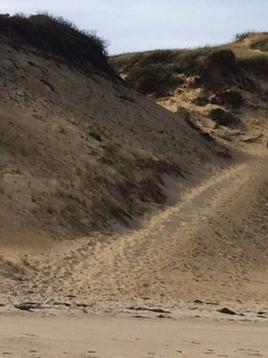 Longnook Beach by null