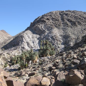 Fortynine Palms Oasis - Hiking Near Me - Twentynine Palms, California