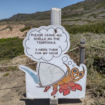 Point Loma Tide Pools - Cartoon sign - Beaches Near Me - San Diego, California