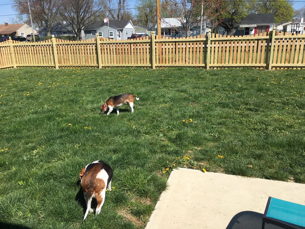 ARMITAGE FENCE Updated August 2024 1656 S 150th W, Greenfield