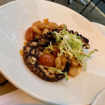Sofia - Grilled Octopus - Steakhouses Near Me - Englewood, New Jersey Sofia - Grilled Octopus - Steakhouses Near Me - Englewood, New Jersey