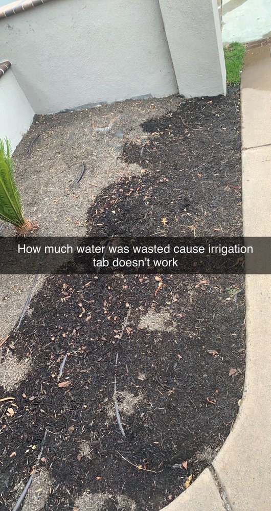 JAVIER TREE SERVICES & LANDSCAPING 33 Photos Tree Services San Diego, CA Phone Number Yelp