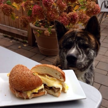 Bread Alone - Delicious eggs sandwich! - Bakeries Near Me - Boiceville, New York Bread Alone - Delicious eggs sandwich! - Bakeries Near Me - Boiceville, New York